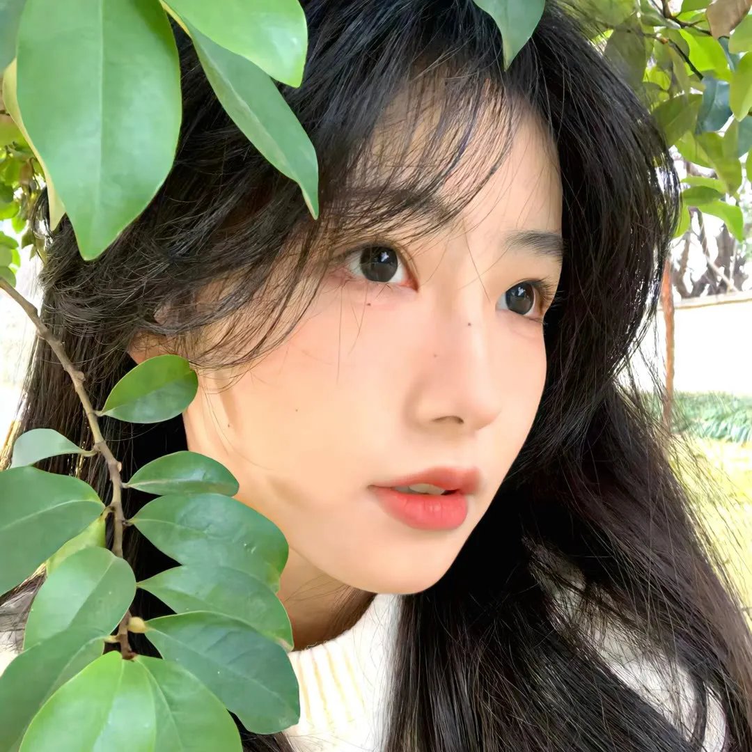 最后的手稿